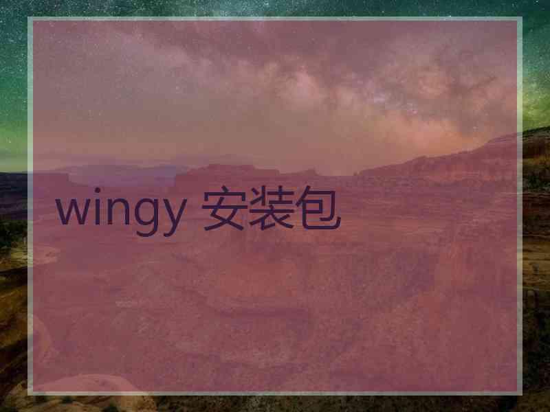 wingy 安装包