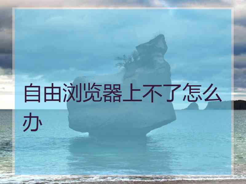 自由浏览器上不了怎么办