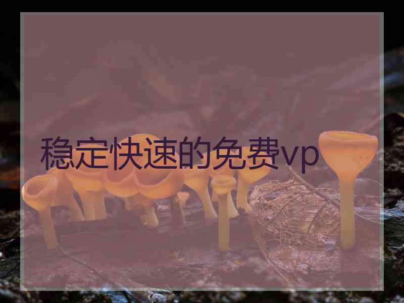 稳定快速的免费vp