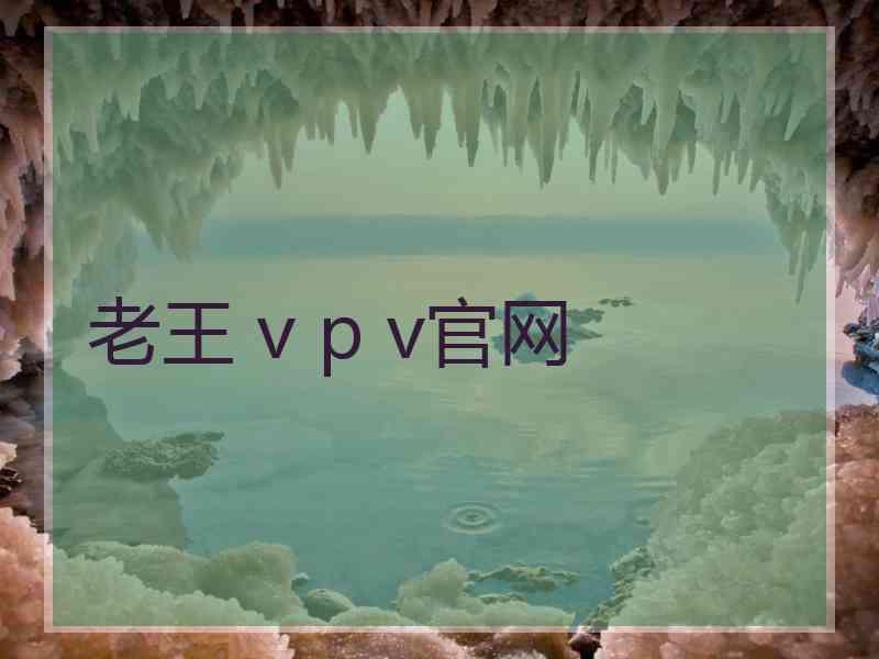 老王 v p v官网