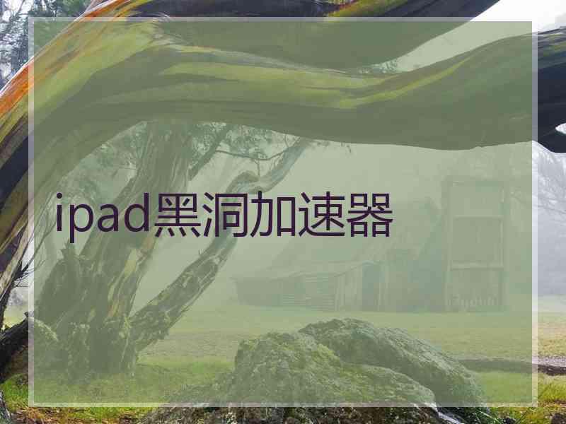 ipad黑洞加速器