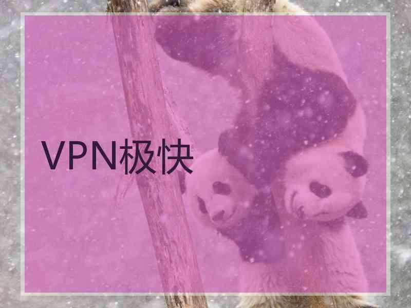 VPN极快