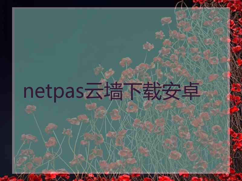 netpas云墙下载安卓