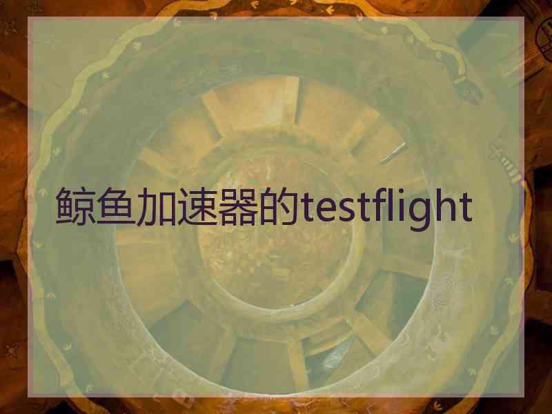 鲸鱼加速器的testflight