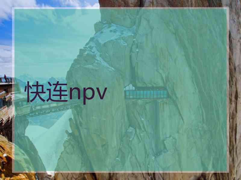 快连npv