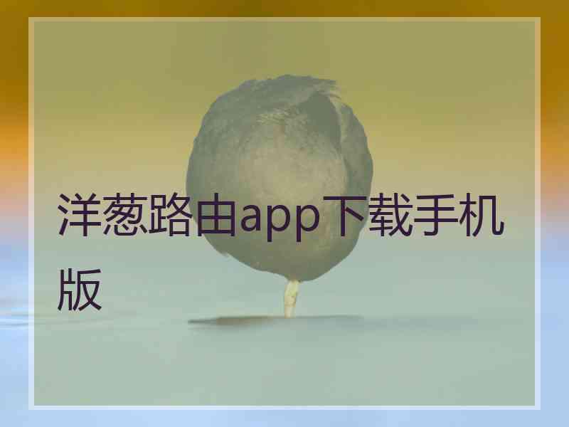 洋葱路由app下载手机版