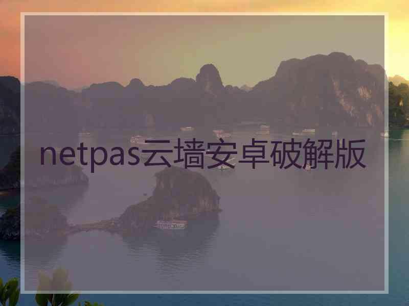 netpas云墙安卓破解版