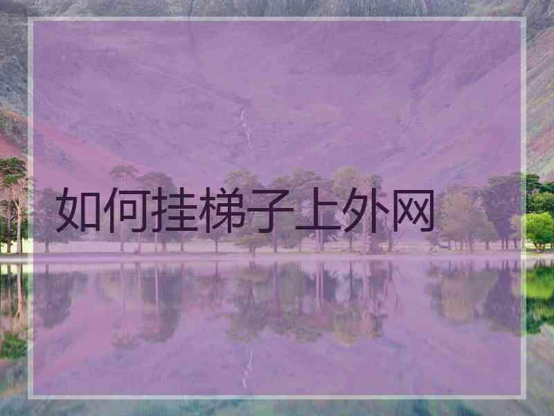 如何挂梯子上外网