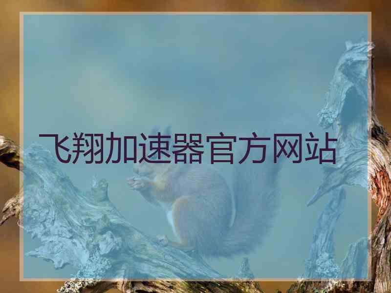 飞翔加速器官方网站