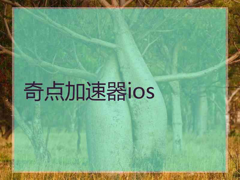 奇点加速器ios