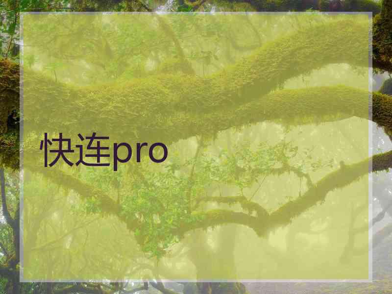 快连pro