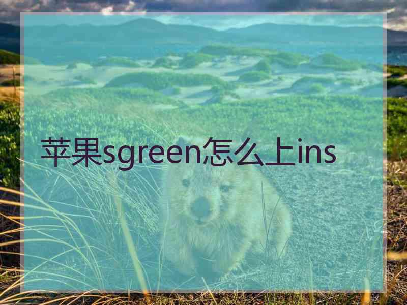 苹果sgreen怎么上ins