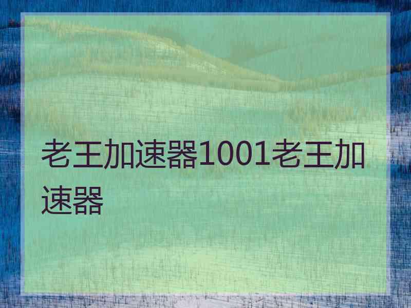 老王加速器1001老王加速器