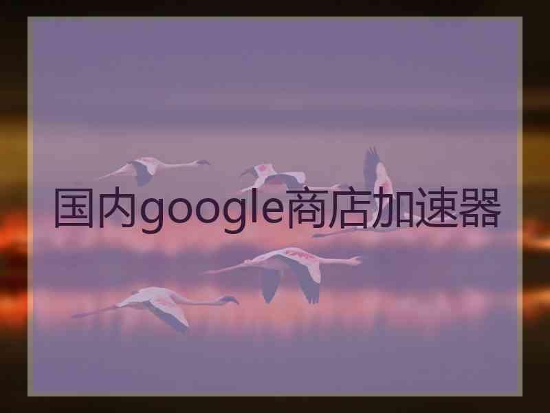 国内google商店加速器