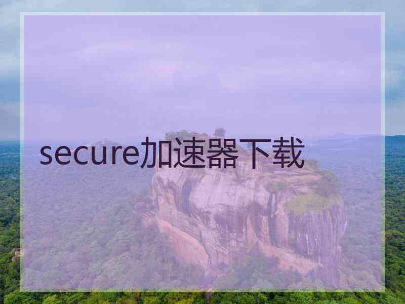 secure加速器下载