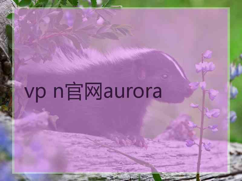 vp n官网aurora