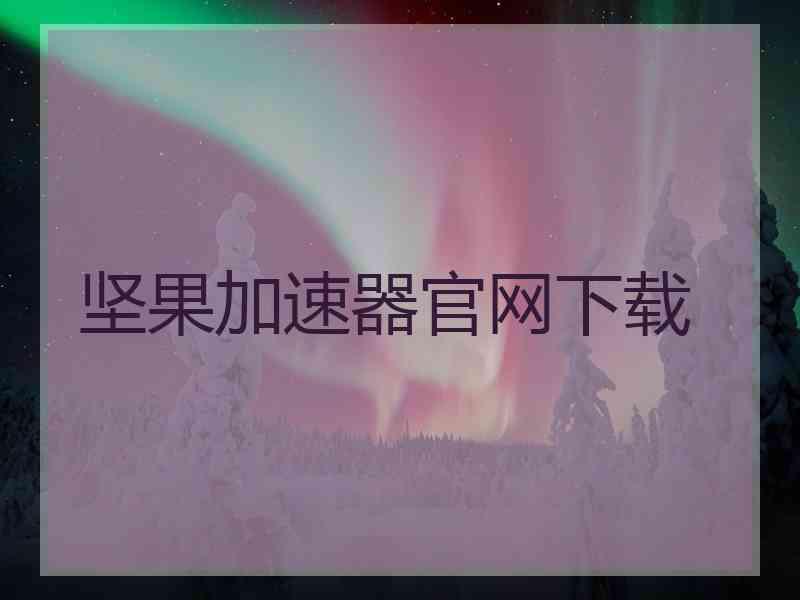 坚果加速器官网下载