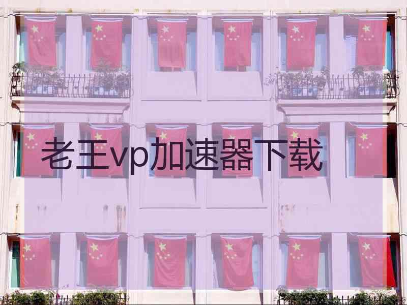 老王vp加速器下载