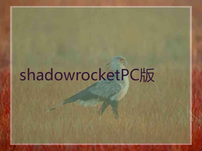 shadowrocketPC版