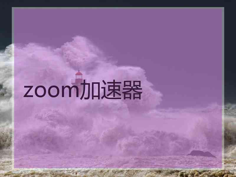 zoom加速器