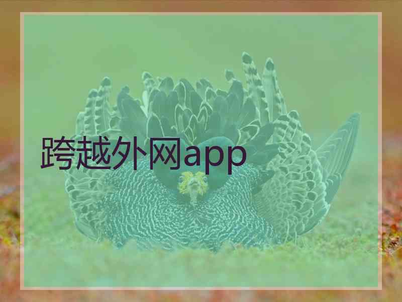 跨越外网app