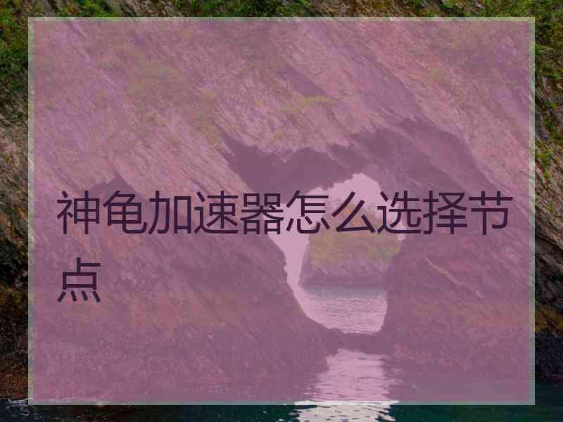 神龟加速器怎么选择节点