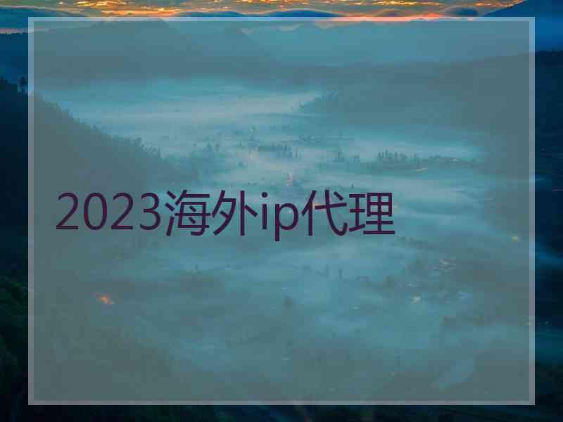 2023海外ip代理