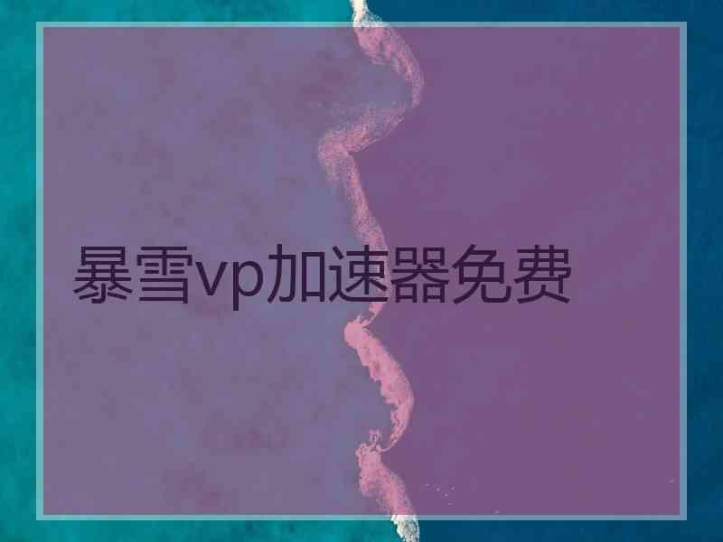 暴雪vp加速器免费