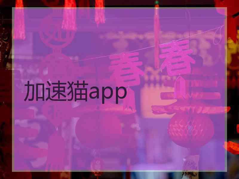 加速猫app