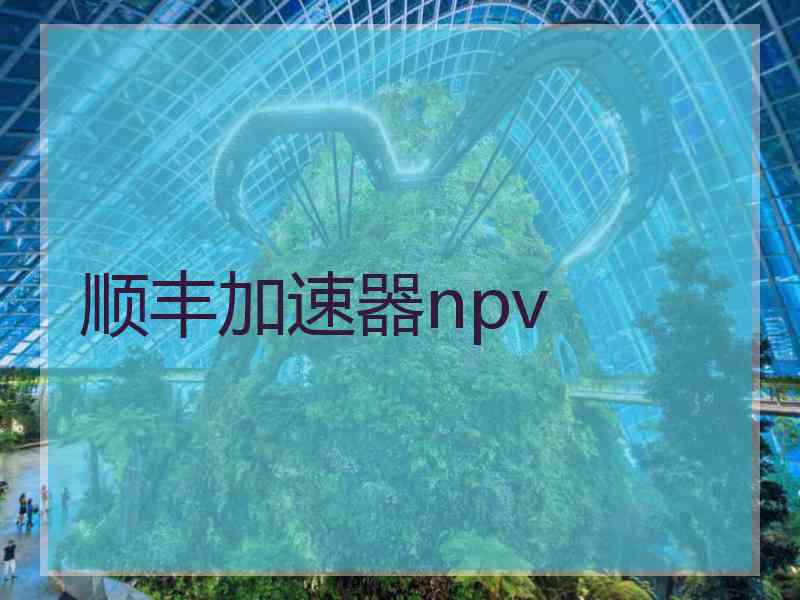 顺丰加速器npv