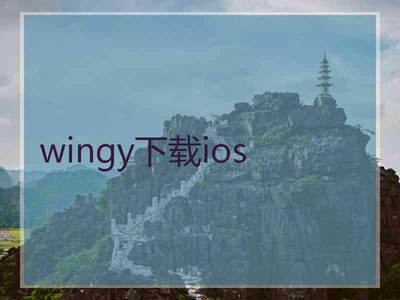 wingy下载ios