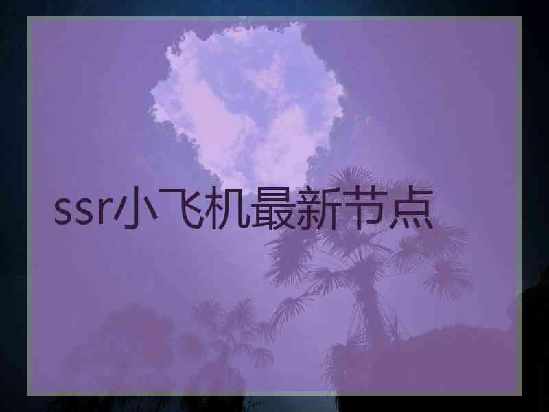 ssr小飞机最新节点