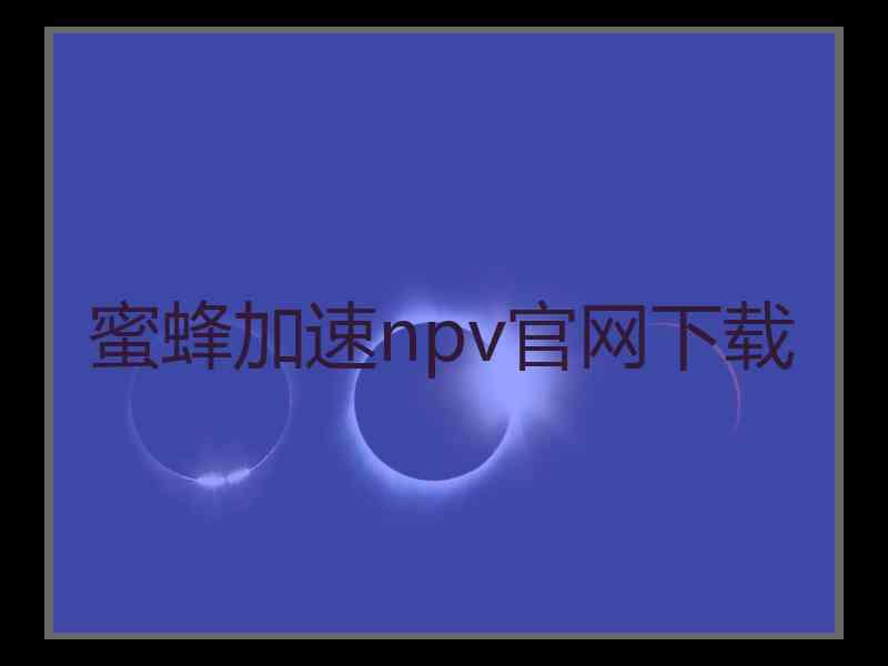 蜜蜂加速npv官网下载