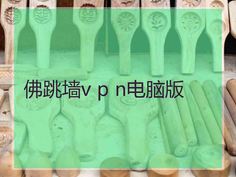 佛跳墙v p n电脑版