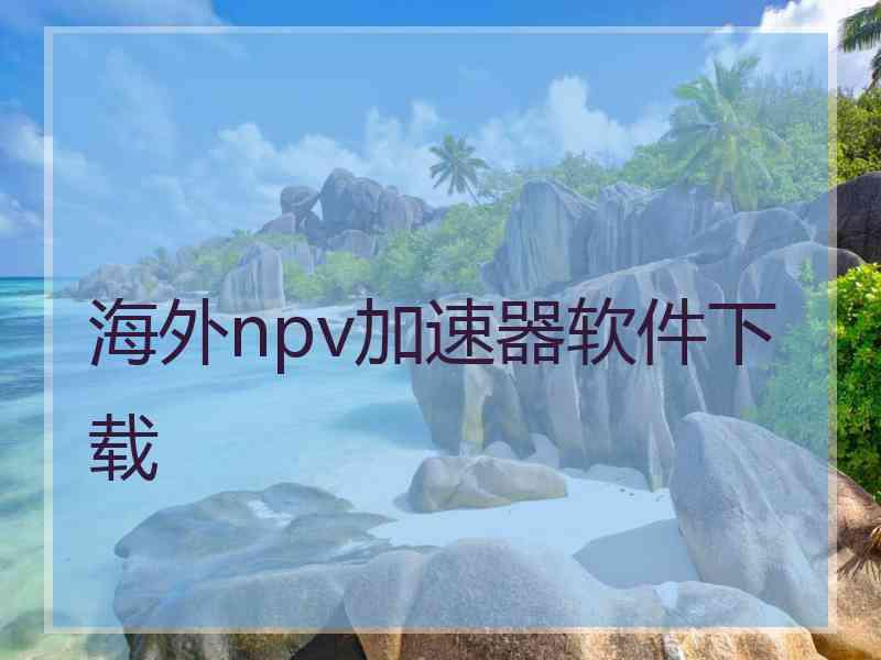 海外npv加速器软件下载