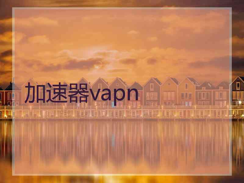 加速器vapn