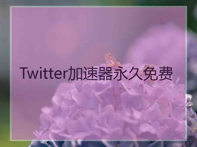 Twitter加速器永久免费