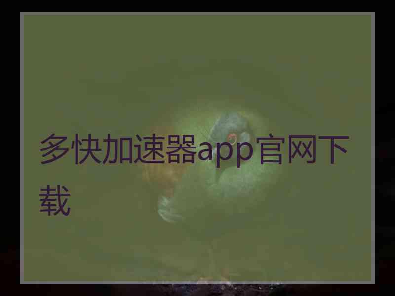 多快加速器app官网下载