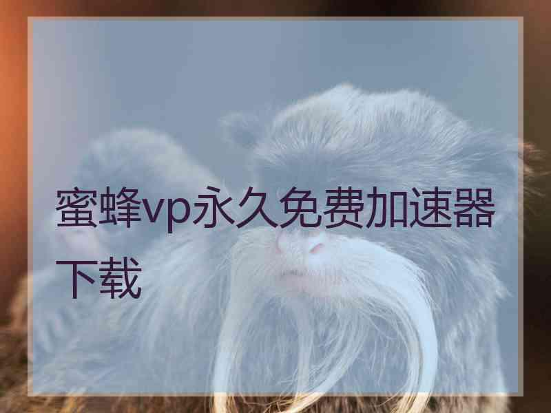 蜜蜂vp永久免费加速器下载