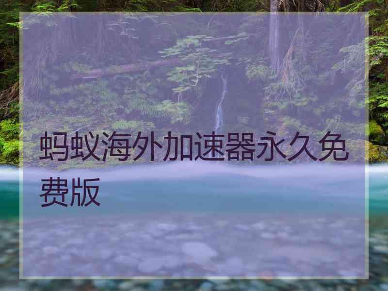 蚂蚁海外加速器永久免费版