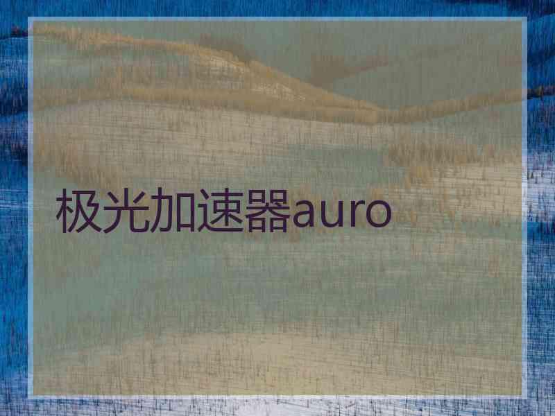 极光加速器auro