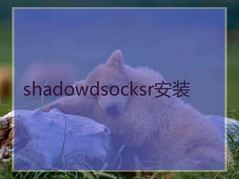 shadowdsocksr安装