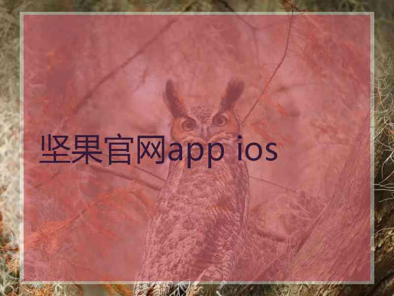 坚果官网app ios