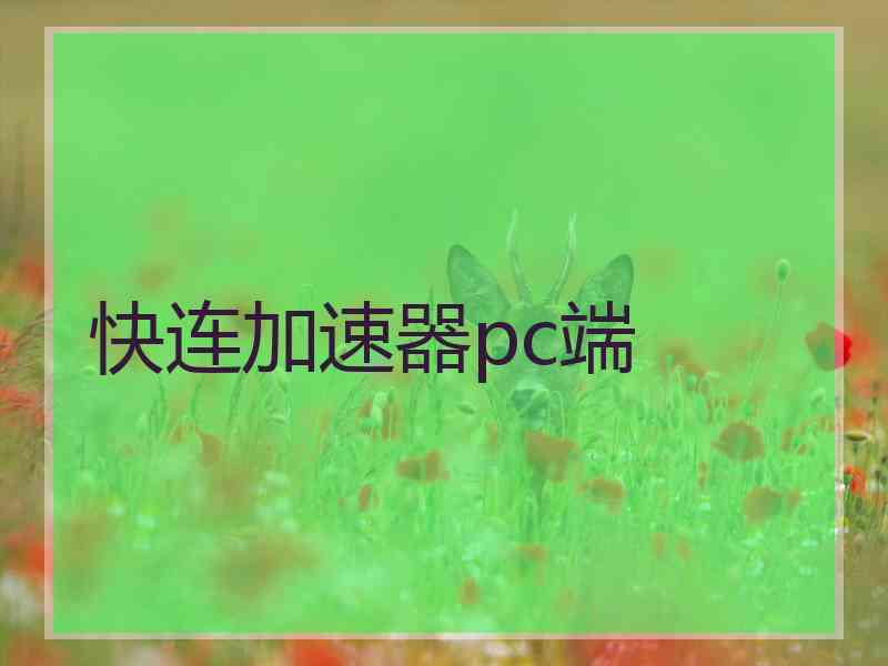 快连加速器pc端