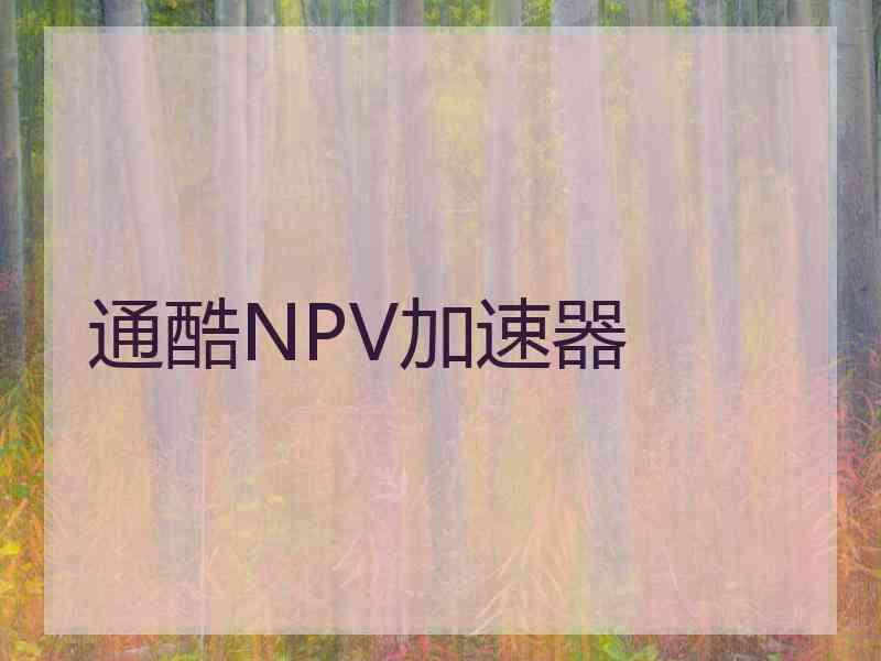 通酷NPV加速器