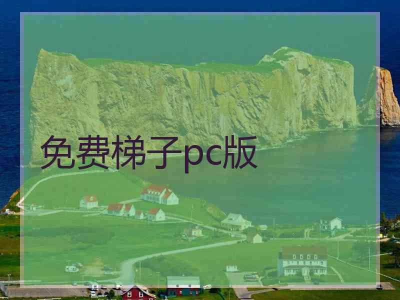 免费梯子pc版