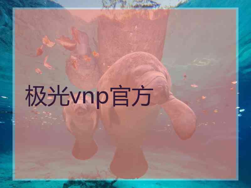 极光vnp官方