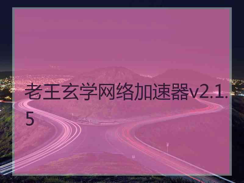 老王玄学网络加速器v2.1.5