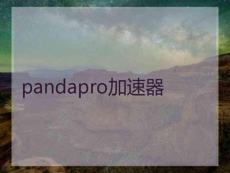 pandapro加速器