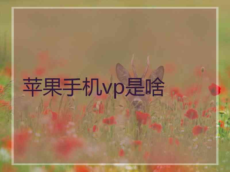 苹果手机vp是啥